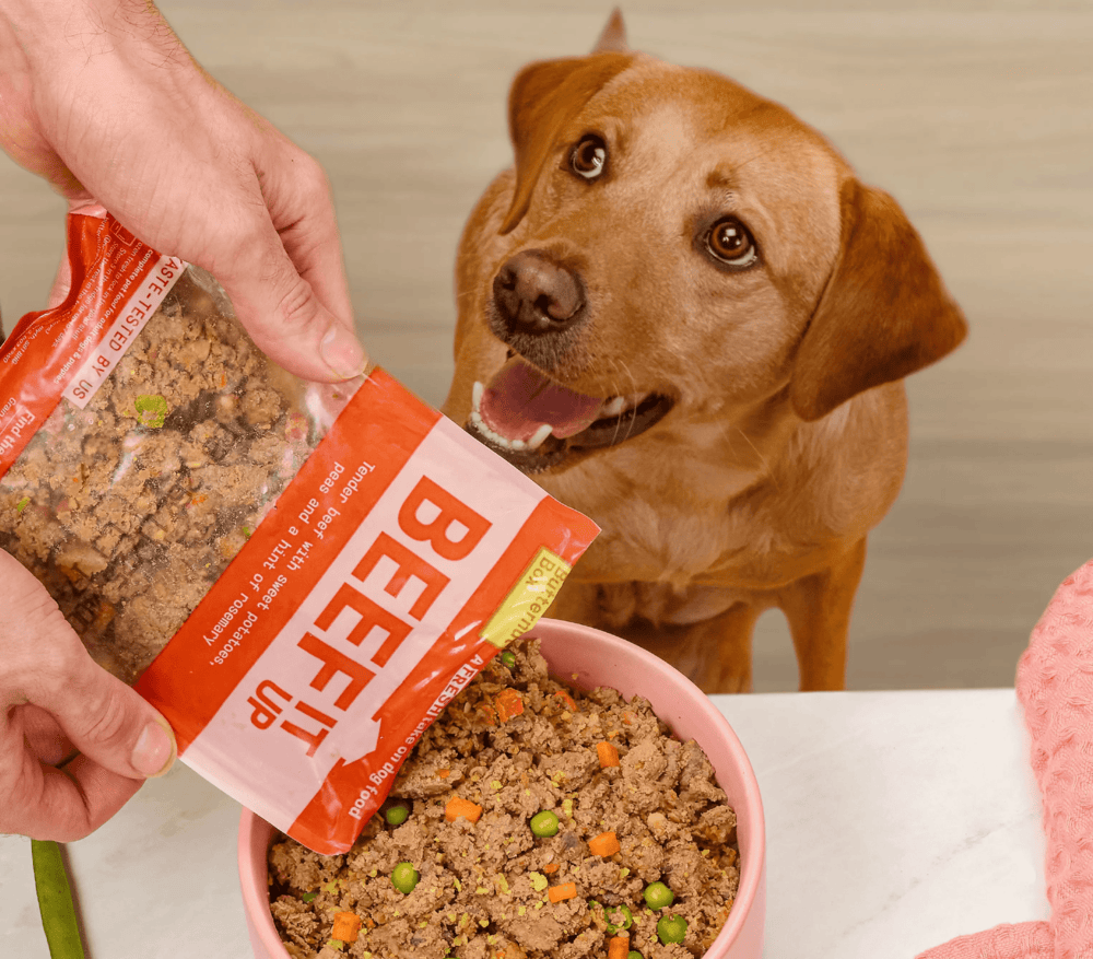 Stanley Tumbler Pink